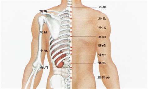 後腰上有痣|【後腰有痣】後腰有痣